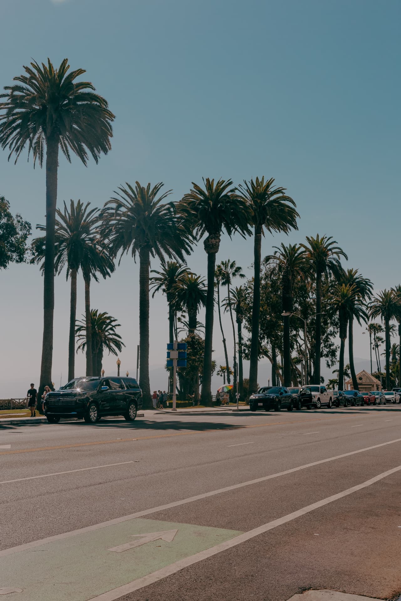 Avenida com palmeiras em Santa Monica