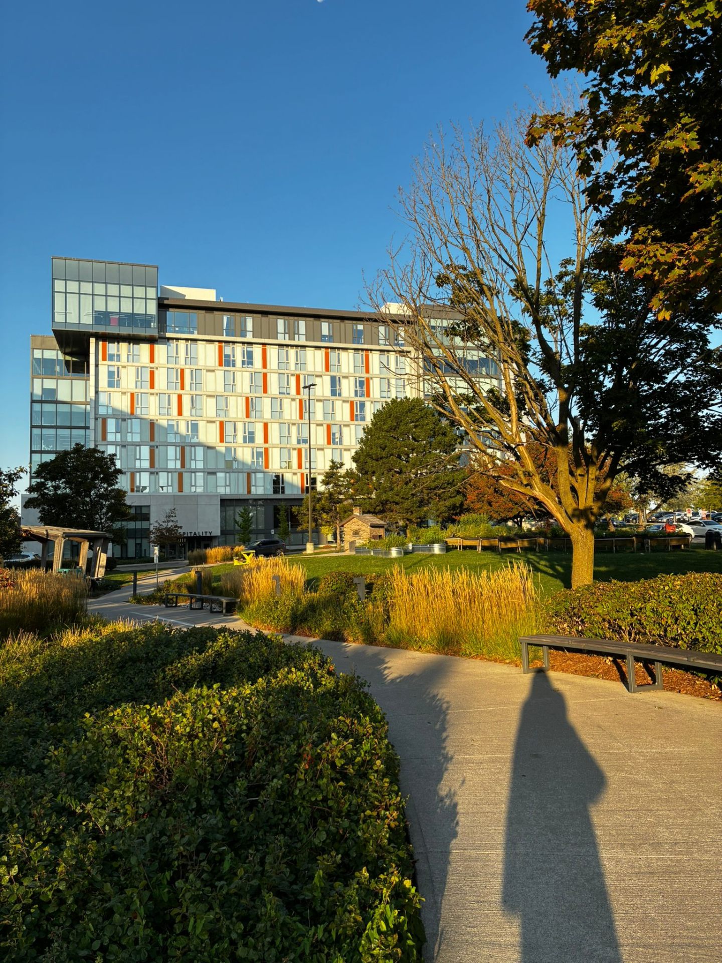 College (Ensino Superior) — campus